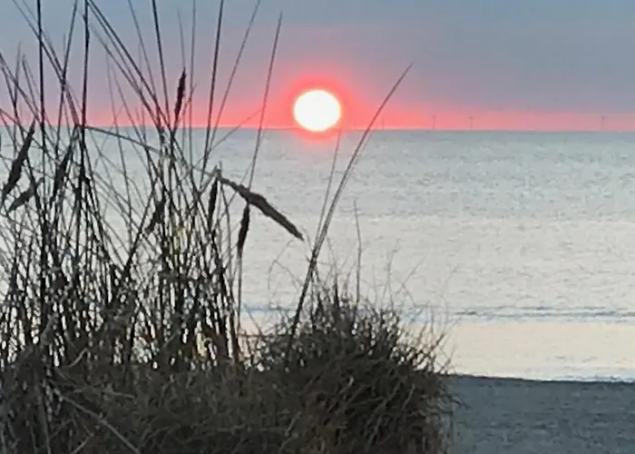 Het Zonnetje Daire Zandvoort