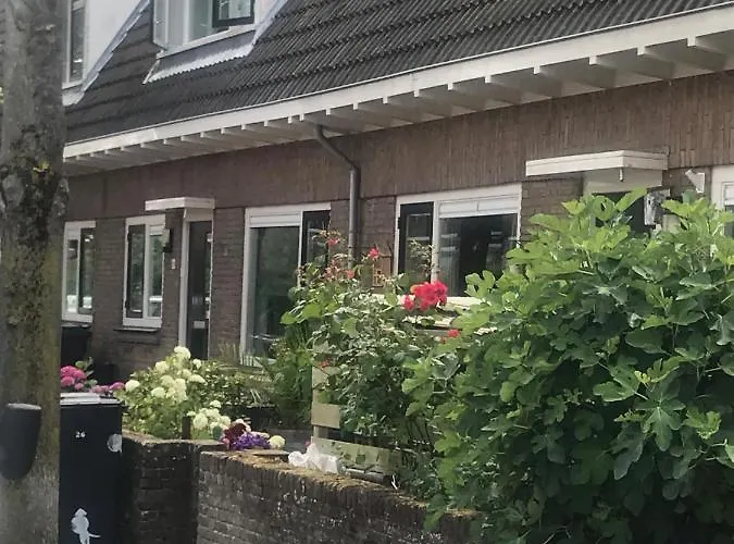 Het Zonnetje
