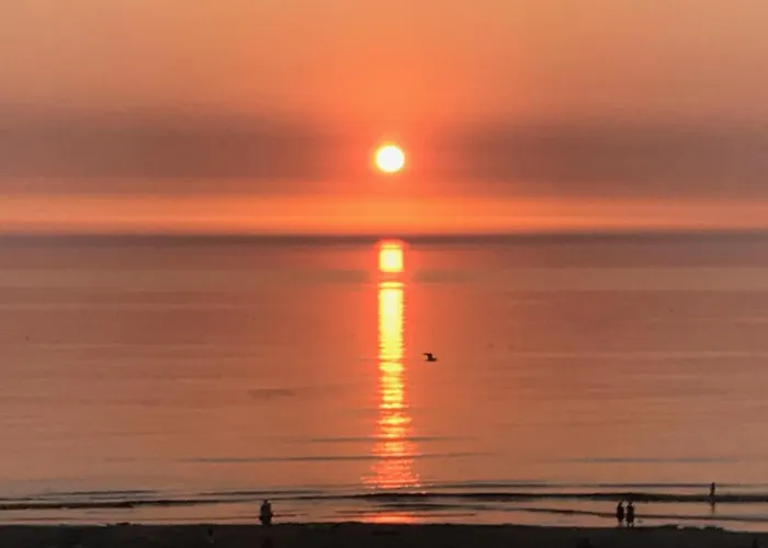 Het Zonnetje Daire *