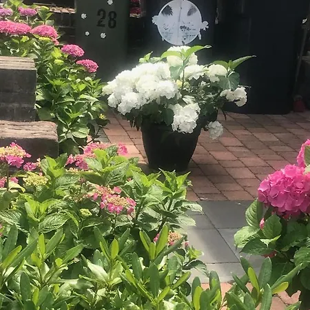 Appartement Het Zonnetje *