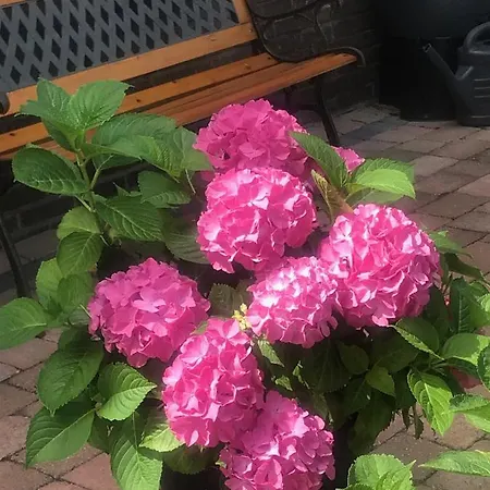 아파트 Het Zonnetje 잔드보르트